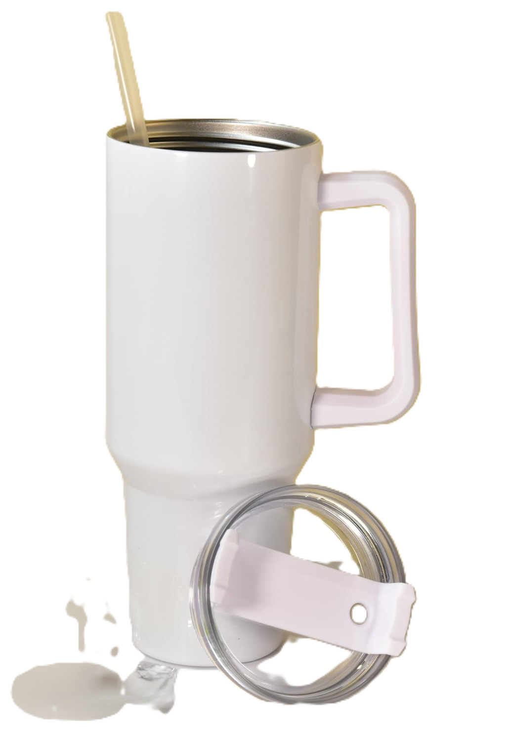 Gemini 20 oz Stainless Steel Skinny Tumbler with Lid, Metal Straw & Gift Box