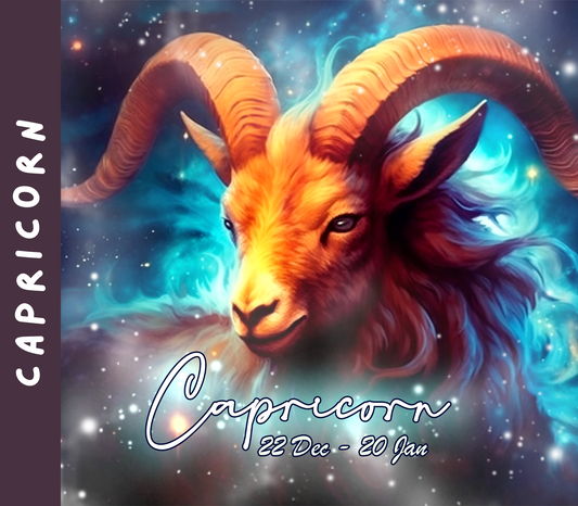 CAPRICORN 20 oz Stainless Steel Skinny Tumbler with Lid, Metal Straw & Gift Box