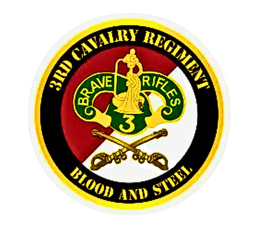 US 3RD CAVALRY military Stainless Steel Skinny Tumbler with Lid, Metal Straw & Gift Box