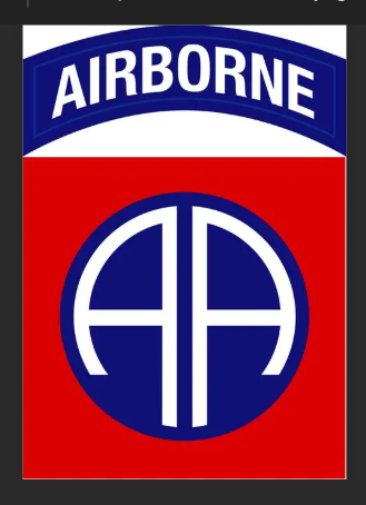 US Airborne military Stainless Steel Skinny Tumbler with Lid, Metal Straw & Gift Box