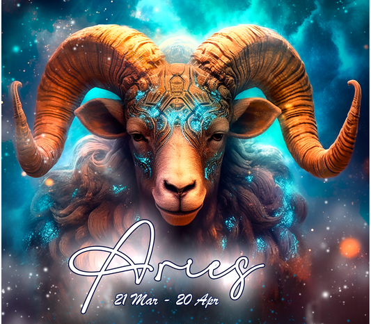 ARIES Stainless Steel Skinny Tumbler with Lid, Metal Straw & Gift Box