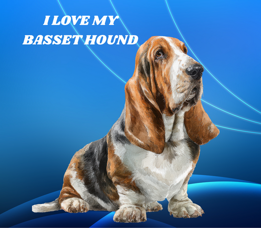 BASSET HOUND Stainless Steel Skinny Tumbler with Lid, Metal Straw & Gift Box