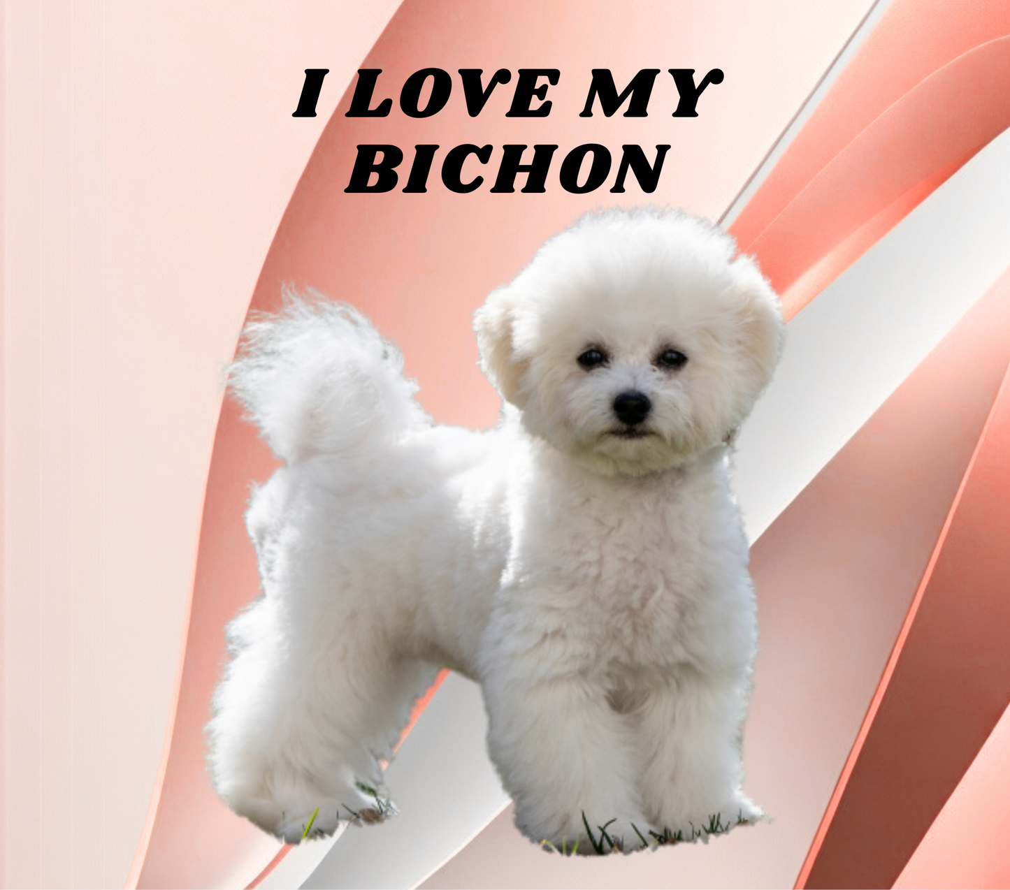 BICHON Stainless Steel Skinny Tumbler with Lid, Metal Straw & Gift Box