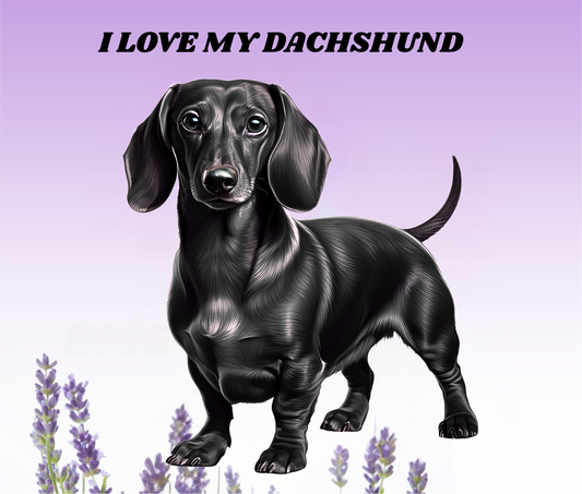 BLACK DACHSHUND Stainless Steel Skinny Tumbler with Lid, Metal Straw & Gift Box