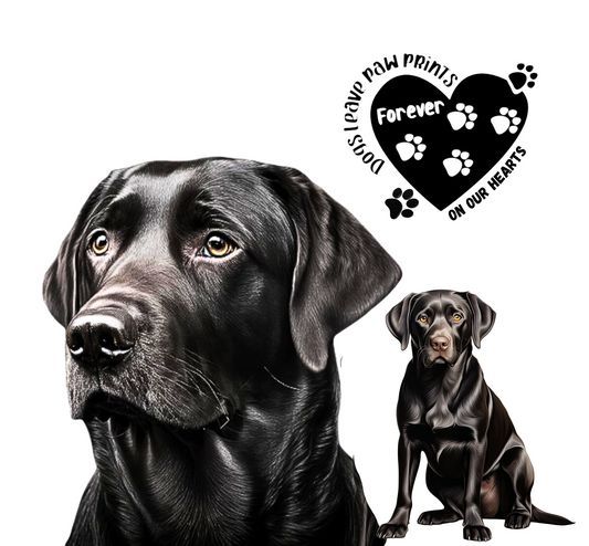 BLACK LAB Stainless Steel Skinny Tumbler with Lid, Metal Straw & Gift Box