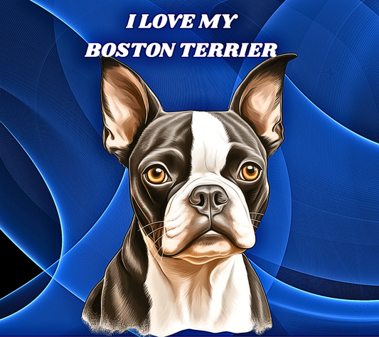 BOSTON TERRIER Stainless Steel Skinny Tumbler with Lid, Metal Straw & Gift Box