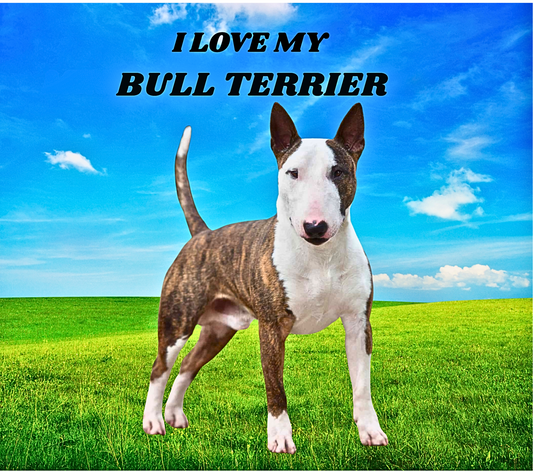 BULL TERRIER Stainless Steel Skinny Tumbler with Lid, Metal Straw & Gift Box