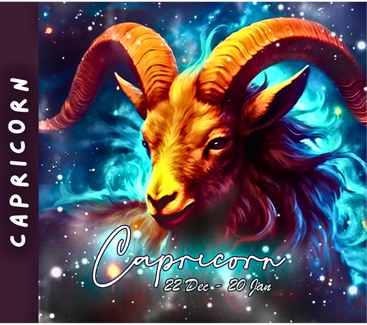 CAPRICORN Stainless Steel Skinny Tumbler with Lid, Metal Straw & Gift Box