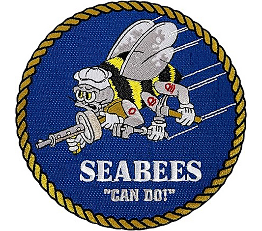 US Navy military Stainless Steel Skinny Tumbler with Lid, Metal Straw & Gift Box