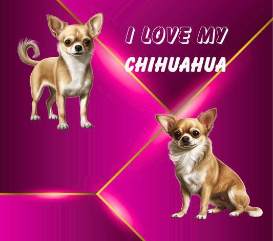 CHIHUAHUA Stainless Steel Skinny Tumbler with Lid, Metal Straw & Gift Box