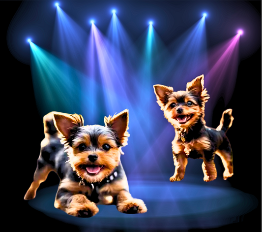 CHORKIE Stainless Steel Skinny Tumbler with Lid, Metal Straw & Gift Box