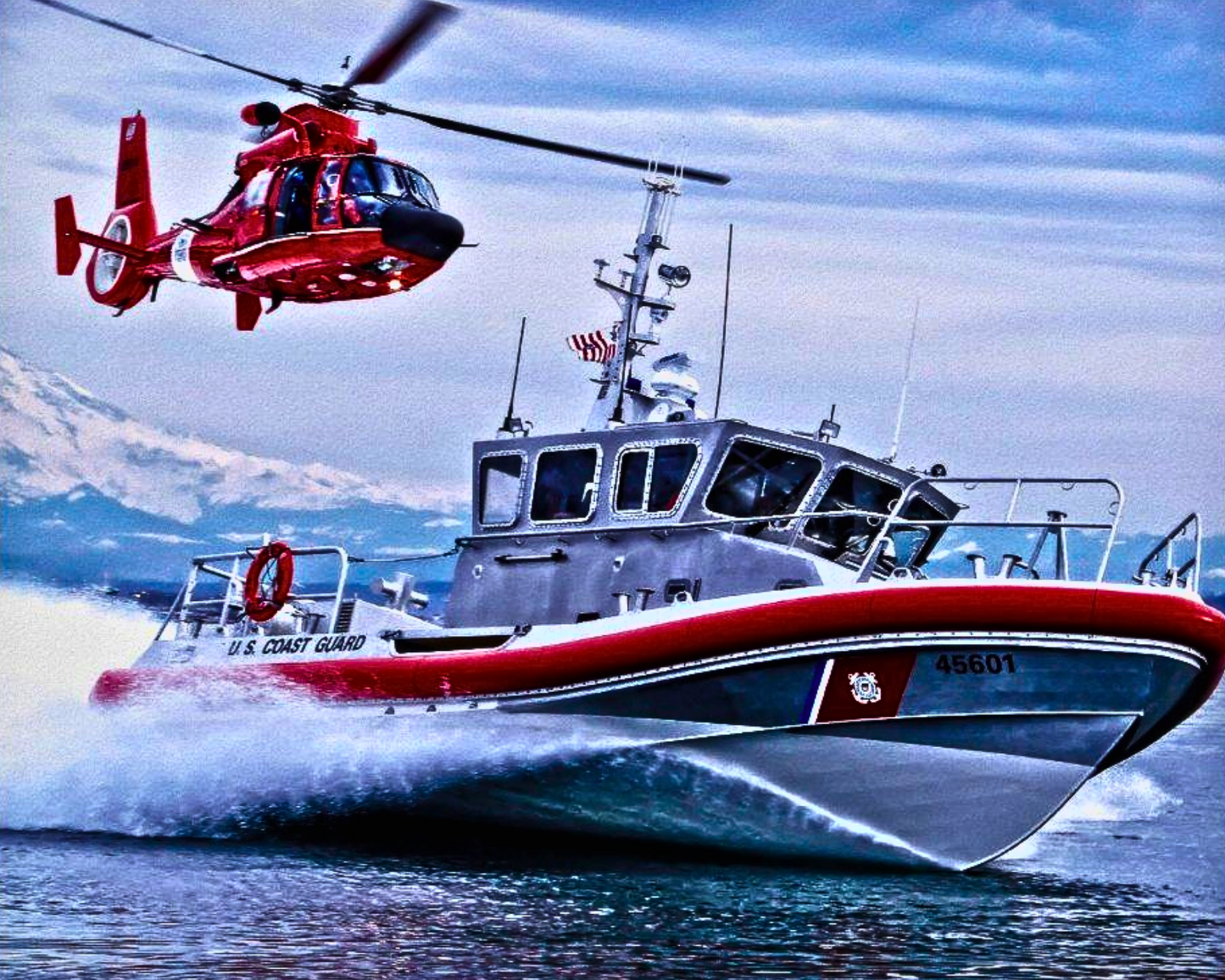 US COAST GUARD military Stainless Steel Skinny Tumbler with Lid, Metal Straw & Gift Box