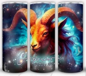 CAPRICORN 20 oz Stainless Steel Skinny Tumbler with Lid, Metal Straw & Gift Box - SewTrain