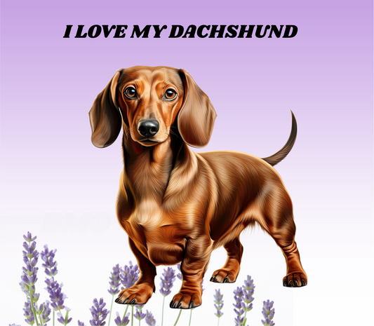 BROWN DACHSHUND Stainless Steel Skinny Tumbler with Lid, Metal Straw & Gift Box