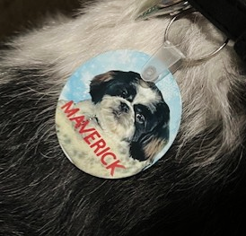 PERSONALIZED DOG TAG - SewTrain