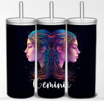 GEMINI 20 oz Stainless Steel Skinny Tumbler with Lid, Metal Straw & Gift Box