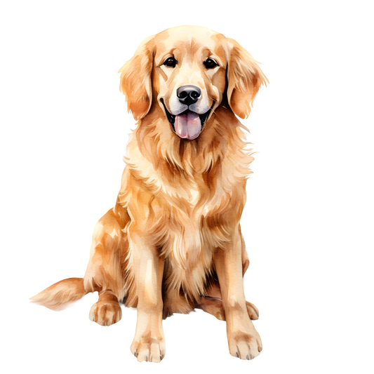 LAB Stainless Steel Skinny Tumbler with Lid, Metal Straw & Gift Box