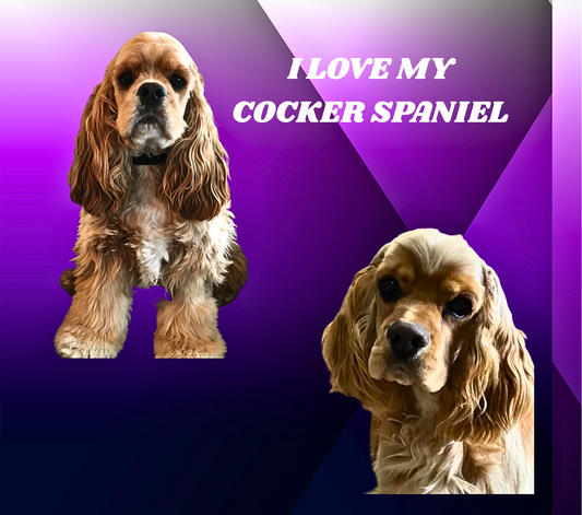 COCKER SPANIEL Stainless Steel Skinny Tumbler with Lid, Metal Straw & Gift Box