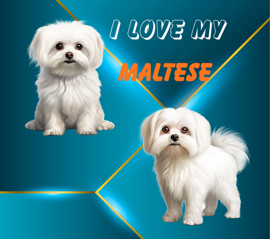 MALTESE Stainless Steel Skinny Tumbler with Lid, Metal Straw & Gift Box