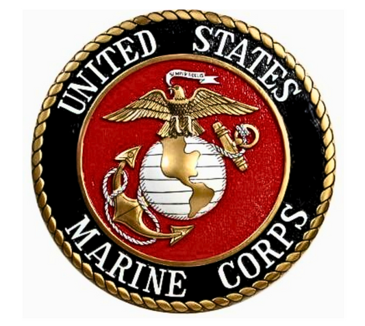 US Marine military Stainless Steel Skinny Tumbler with Lid, Metal Straw & Gift Box