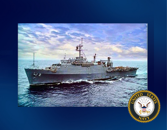 US Navy military Stainless Steel Skinny Tumbler with Lid, Metal Straw & Gift Box