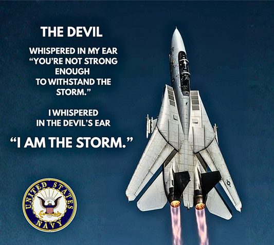 US Navy military Stainless Steel Skinny Tumbler with Lid, Metal Straw & Gift Box