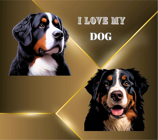 Stainless Steel Skinny Tumbler with Lid, Metal Straw & Gift Box