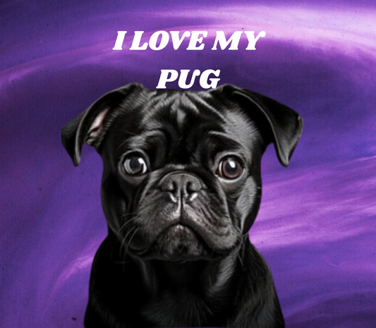 BLACK PUG Stainless Steel Skinny Tumbler with Lid, Metal Straw & Gift Box