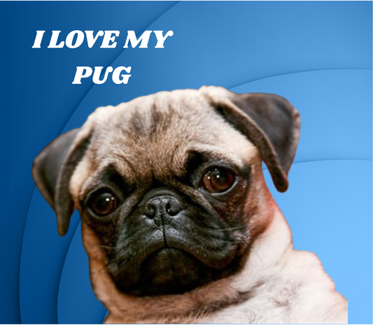 PUG Stainless Steel Skinny Tumbler with Lid, Metal Straw & Gift Box