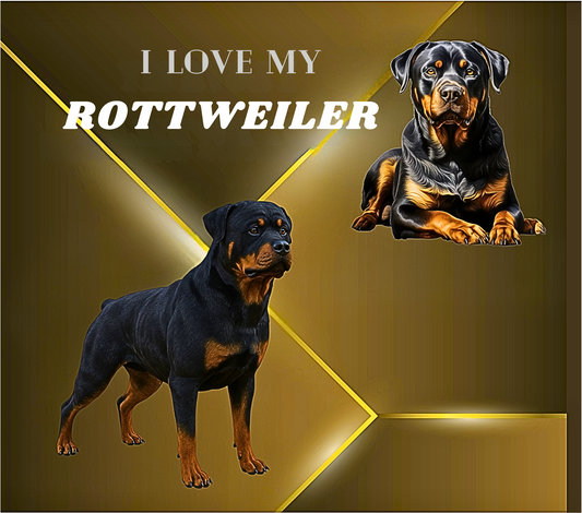 ROTWIELDER Stainless Steel Skinny Tumbler with Lid, Metal Straw & Gift Box