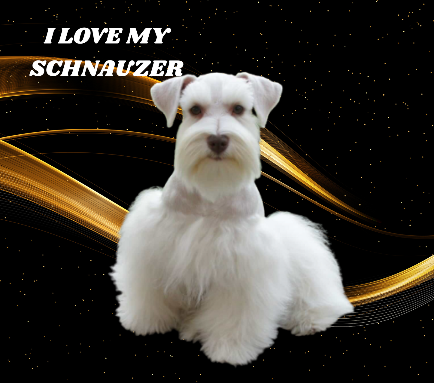 SCHNAUZER Stainless Steel Skinny Tumbler with Lid, Metal Straw & Gift Box