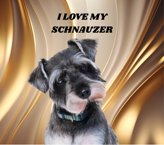 SCHNAUZER Stainless Steel Skinny Tumbler with Lid, Metal Straw & Gift Box