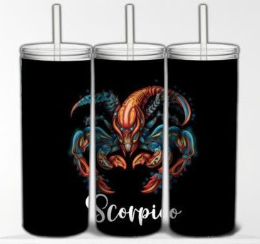 SCORPIO 20 oz Stainless Steel Skinny Tumbler with Lid, Metal Straw & Gift Box