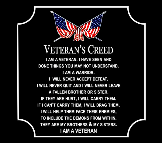 US Air Force military Stainless Steel Skinny Tumbler with Lid, Metal Straw & Gift Box