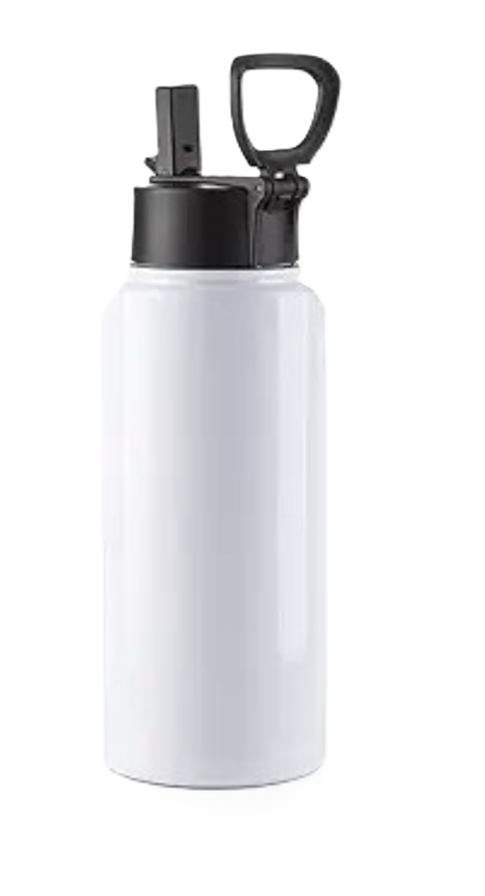 Gemini 20 oz Stainless Steel Skinny Tumbler with Lid, Metal Straw & Gift Box