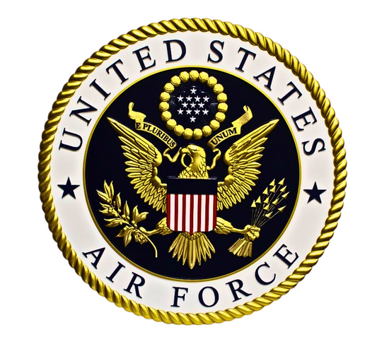 US Air Force military Stainless Steel Skinny Tumbler with Lid, Metal Straw & Gift Box