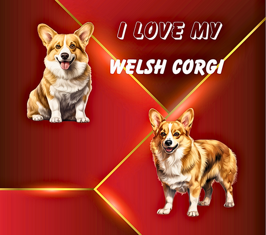 WELSH CORGI Stainless Steel Skinny Tumbler with Lid, Metal Straw & Gift Box