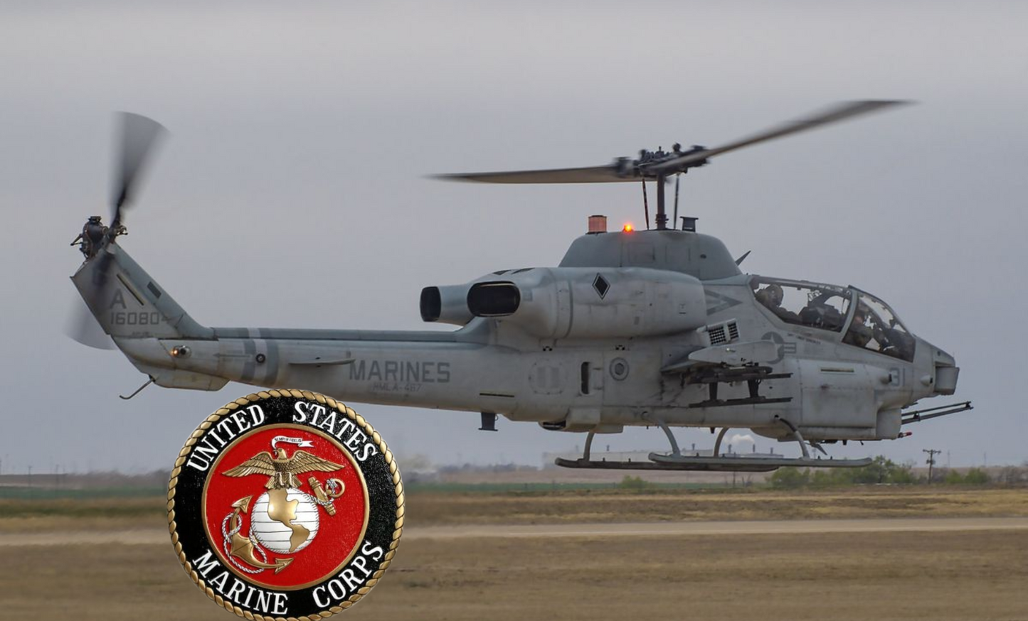 US Marine military Stainless Steel Skinny Tumbler with Lid, Metal Straw & Gift Box (Copy)