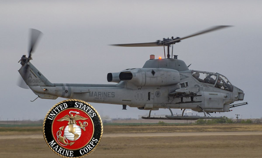 US Marine military Stainless Steel Skinny Tumbler with Lid, Metal Straw & Gift Box (Copy)