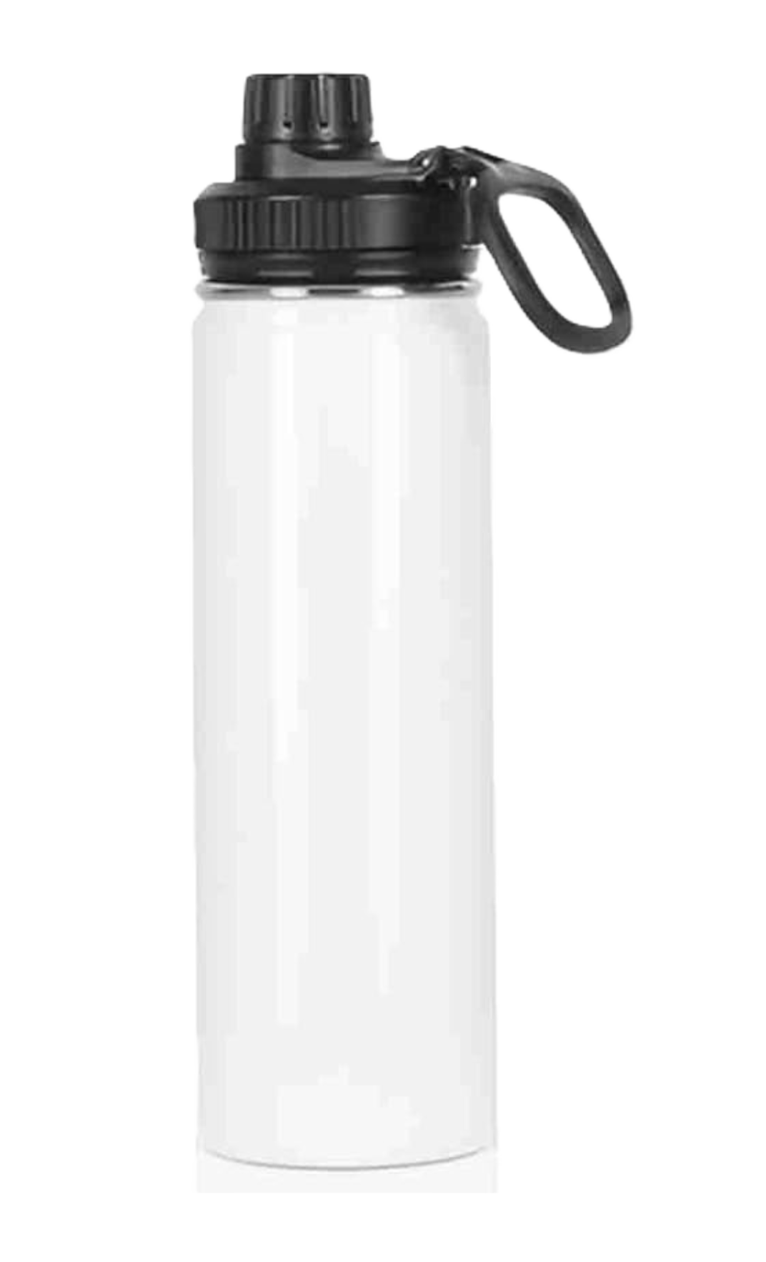 Gemini 20 oz Stainless Steel Skinny Tumbler with Lid, Metal Straw & Gift Box